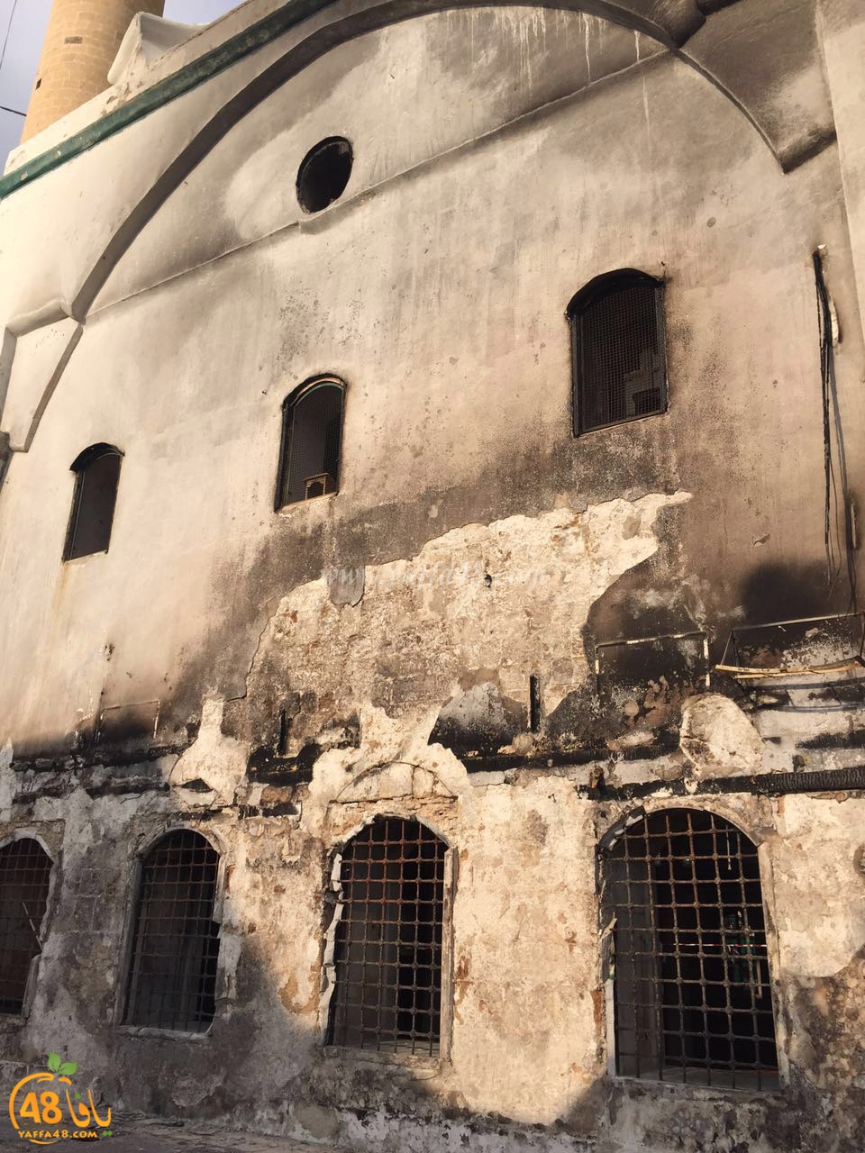 wafasd jazar yaffa (4).jpg